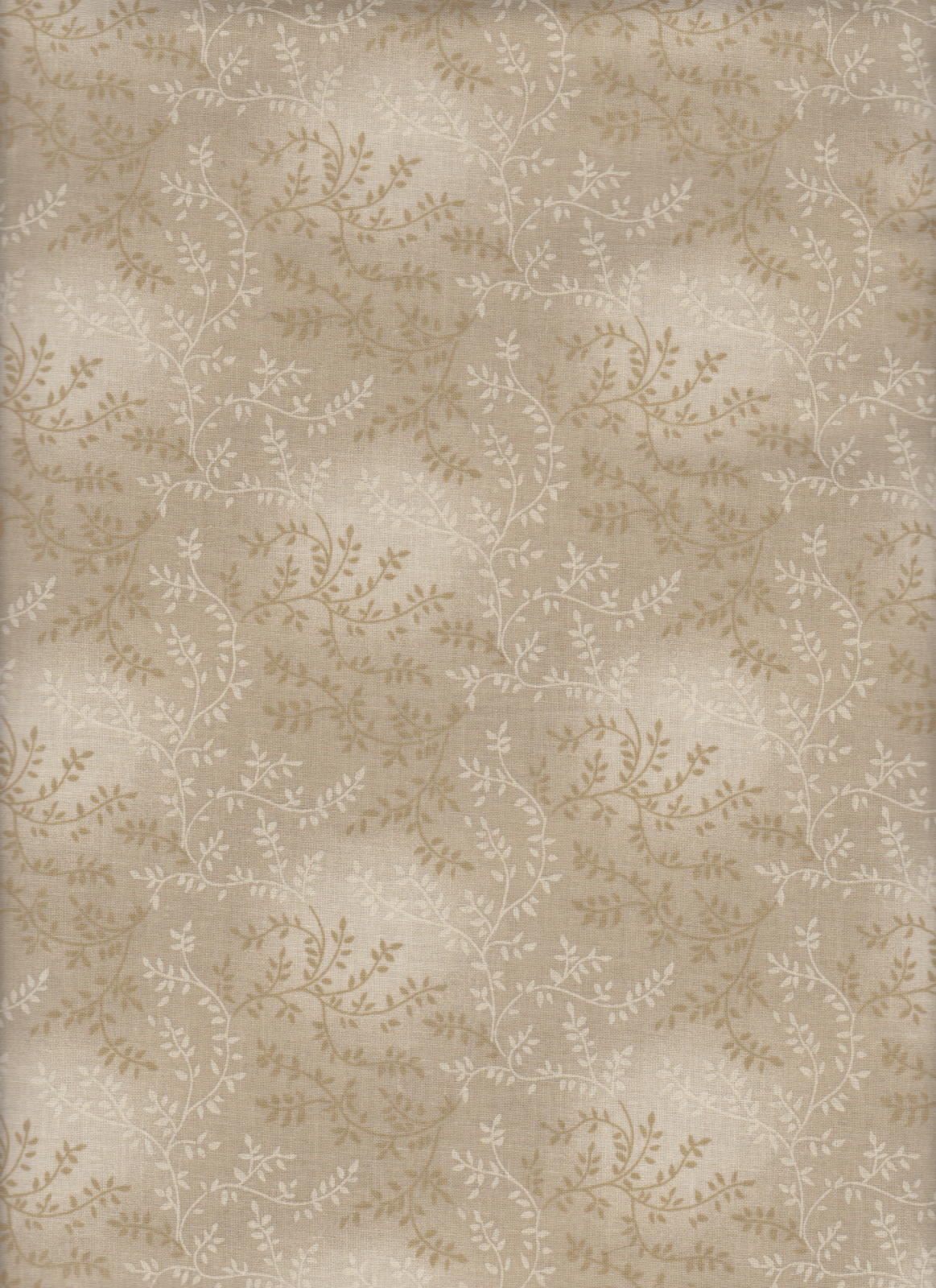 Tonal Vineyard 108" Wide Back Blender Beige Foust Textiles Cotton Fabric