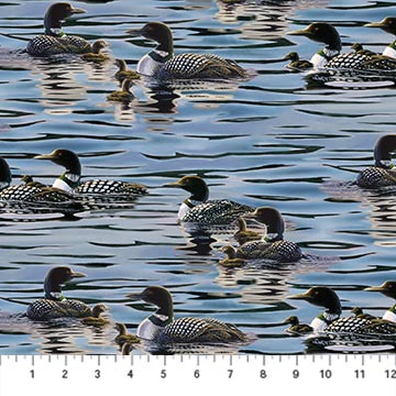 Tranquil Moments Ducks Blue Rick Kelley Northcott Fabrics Cotton Fabric
