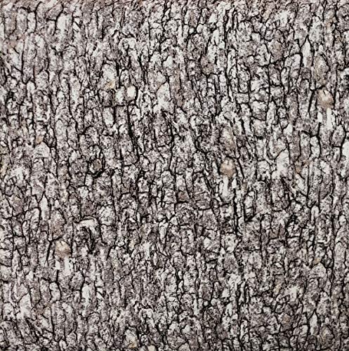 Tree Bark Brown Woodgrain Landscape Medley Elizabeth's Studio Cotton Fabric