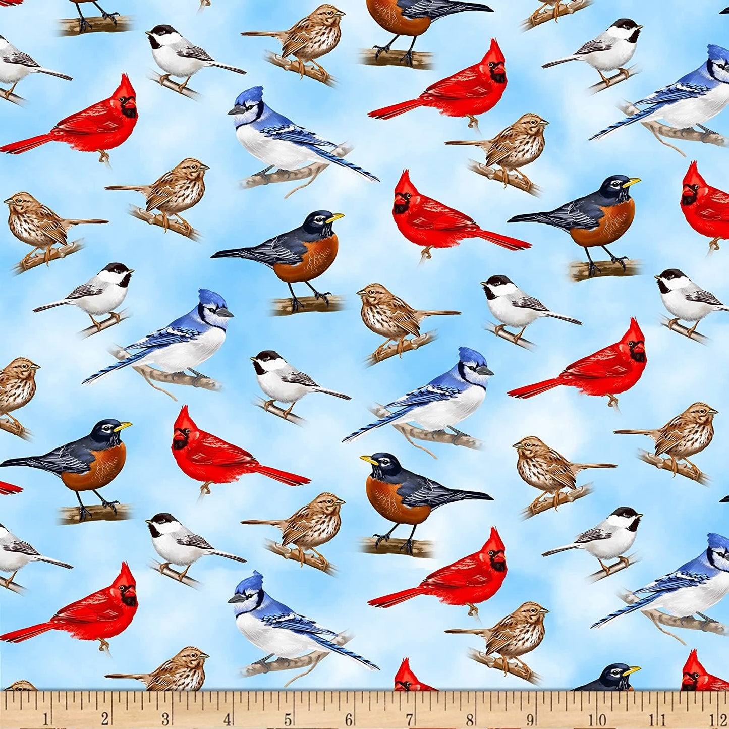 Backyard Wildlife Realistic Bird Sky Blue Timeless Treasures Cotton Fabric