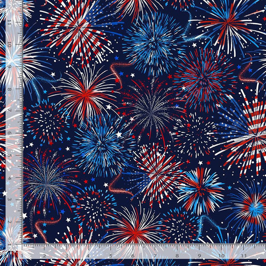 USA Flag Fireworks USA Gail Cadden Timeless Treasures Cotton Fabric TT-GAIL-CD2222-USA