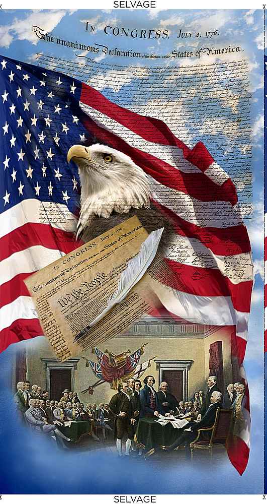 We the People Panel 24" Multi Timeless Treasures Cotton Fabric