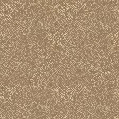 Whimsy II Tonal Spots Light Brown Heather Dutton P&B Textiles Cotton Fabric PB-WHM205689-LZ