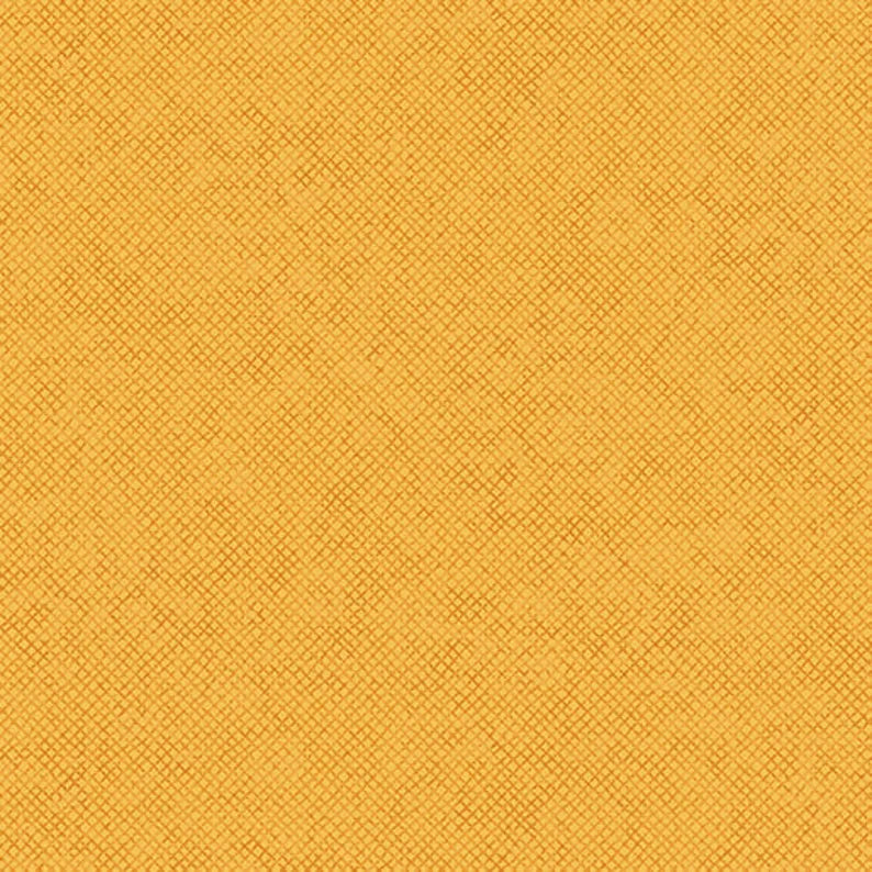 Whisper Weave Amber Yellow Nancy Halvorsen Benartex Cotton Fabric