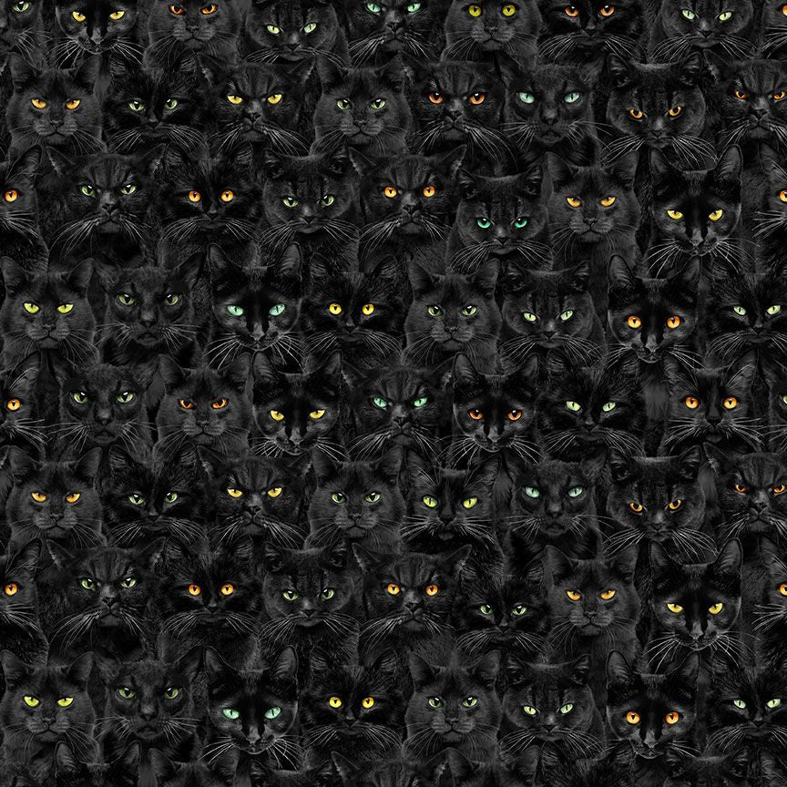 Wicked Black Cats Magic Black Timeless Treasures Cotton Fabric