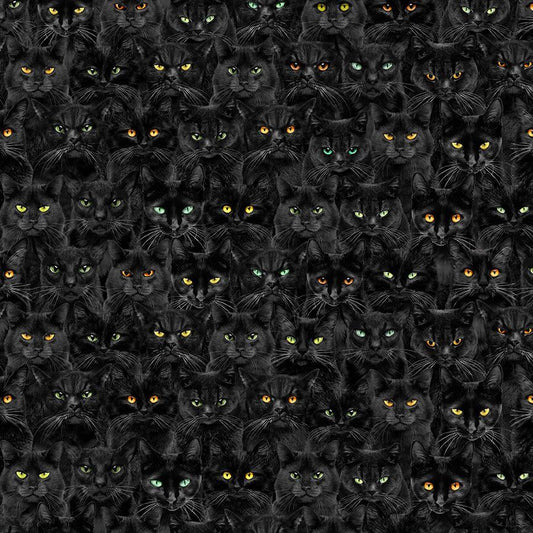 Wicked Black Cats Magic Black Timeless Treasures Cotton Fabric