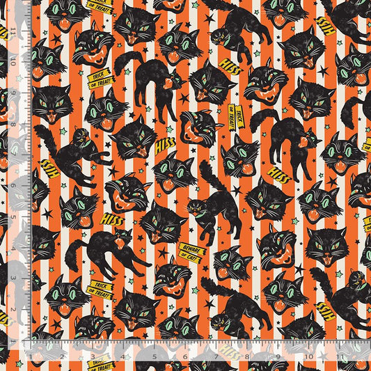 Wicked Willow Trick or Treat Cats Orange Timeless Treasures Cotton Fabric TT-WICKED-CD4159-ORANGE