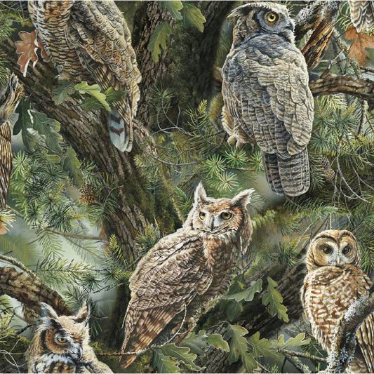 Wild Wings Night Owl Green Springs Creative Cotton Fabric