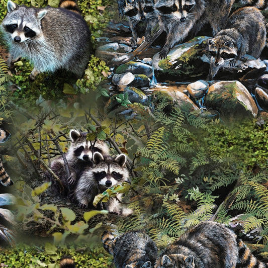 Wild Wings Masked Bandits Springs Creative Cotton Fabric
