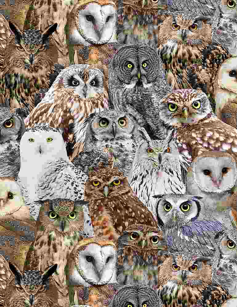 Wildlife Packed Realistic Owls Multi Timeless Treasures Cotton Fabric