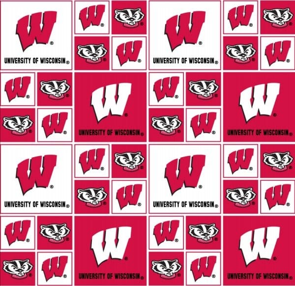 Wisconsin Badgers NCAA College Block Sykel Cotton Fabric