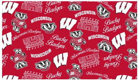 Wisconsin Badgers NCAA College Mini Stadium Logo Sykel Enteprises Cotton Fabric WIS-1389