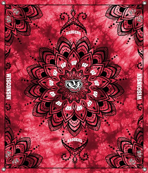 Wisconsin Badgers NCAA College Tapestry Spirit Banner 58x47 inches Sykel Enterprises 4 Grommets Polyester Fabric WIS-5001