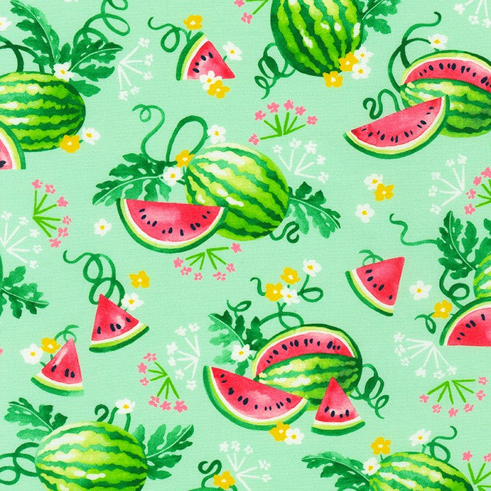 Wishwell Sweetness Watermelons Mint Vanessa Lillrose & Linda Fitch Robert Kaufman Cotton Fabric