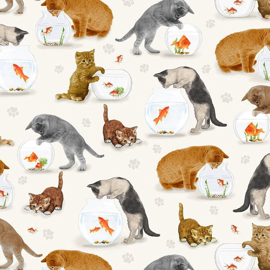 You Had Me at Meow Cats and Fish Bowl Cream Timeless Treasures Cotton fabric